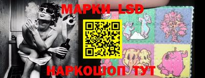 индика Жуковский