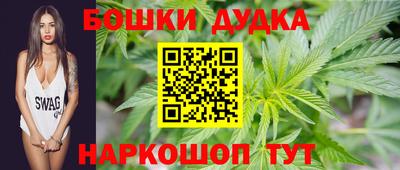 индика Жуковский