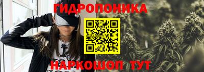 дживик Заводоуковск