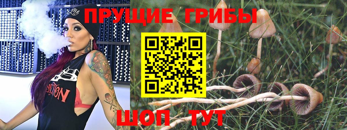 Псилоцибиновые грибы GOLDEN TEACHER Керчь