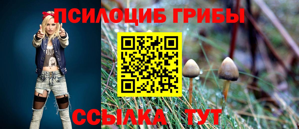 Псилоцибиновые грибы GOLDEN TEACHER  Вход с VPN  Керчь 